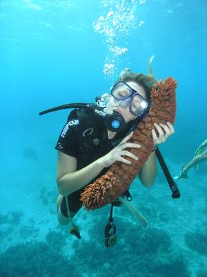 RTEmagicC_Sea_Cucumber_small_jpg