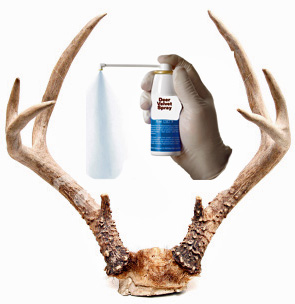 deer_antler_spray_pic