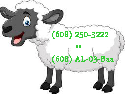 sheep number