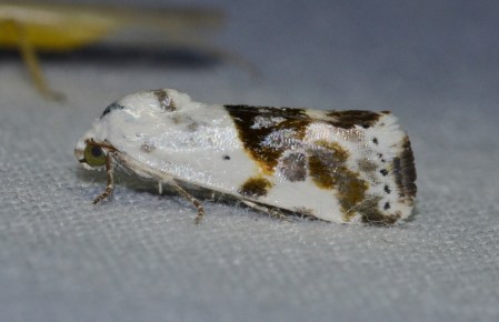 ????????????????????????????????????